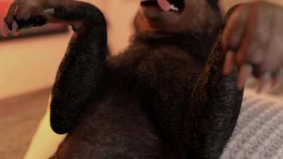 (Jackerman) The meatiest lollipop