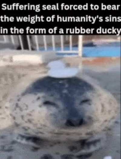 who did this to this poor seal