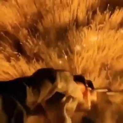 a fun day with the boys