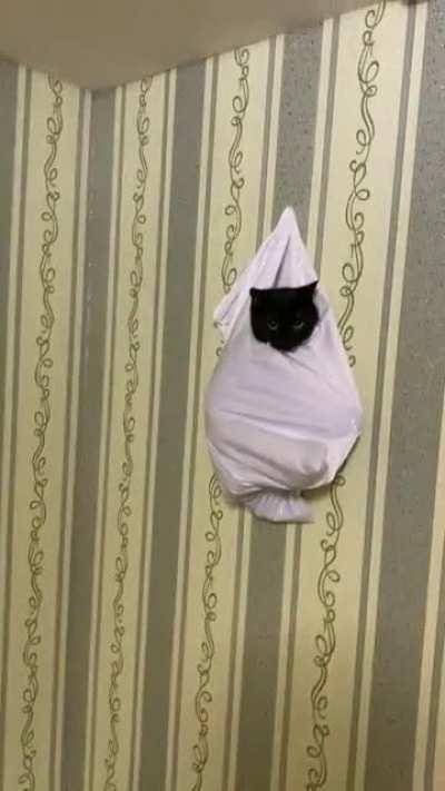 It happens to you that you come home from work, and here it is ...😂😂😂