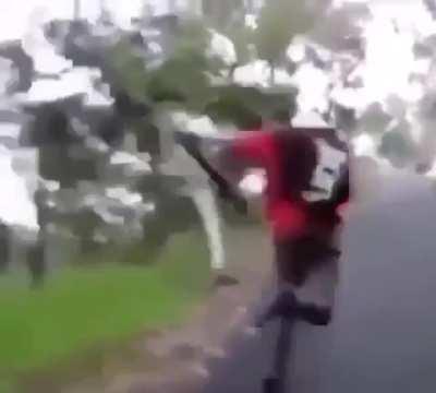 Log throws a knockout punch