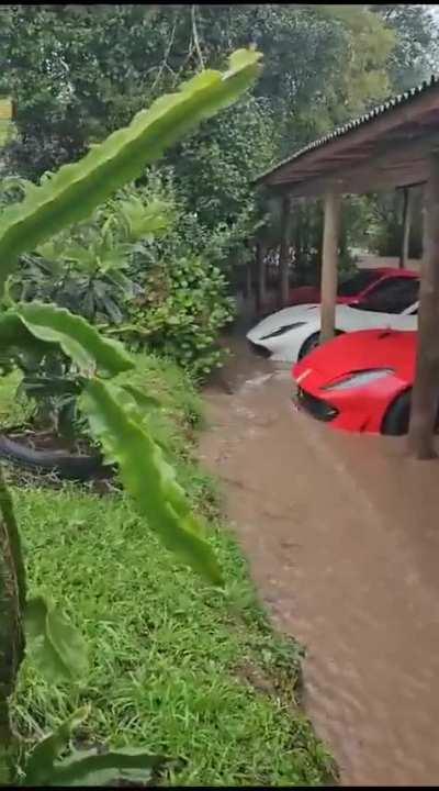 F para esses cavalinhos italianos