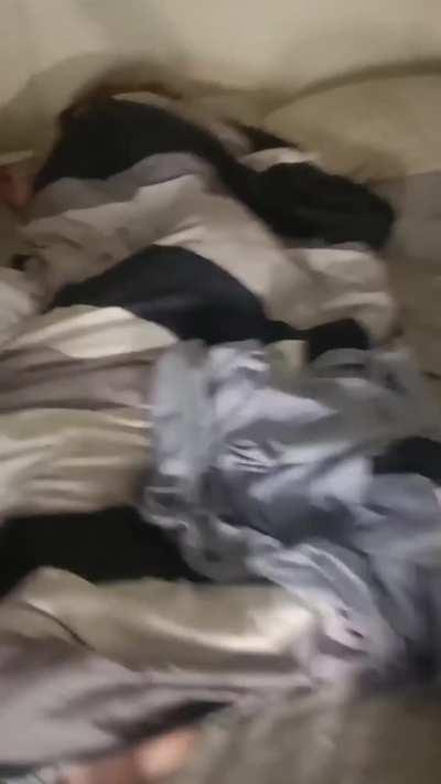 Have you ever seen anything more beautiful