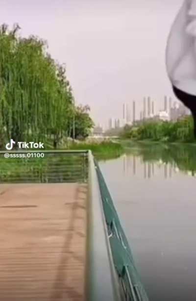 Moldy, “me after the lobotomy”