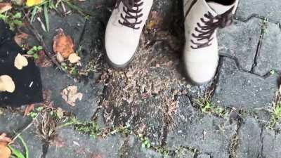 snails under nice boots