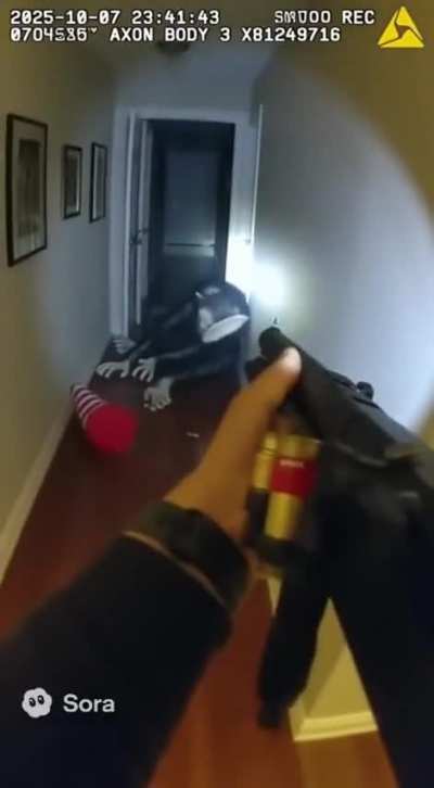 Cursed vid i made :)