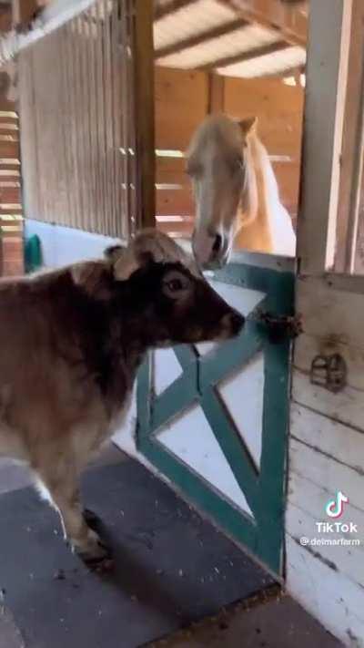 Some guys just can't take a hint