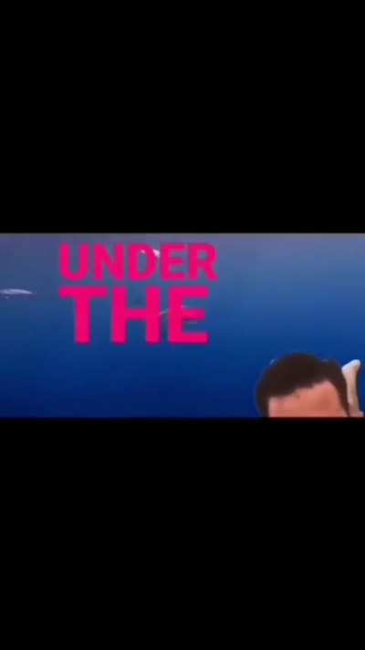 Did you miss me 🥺🥺