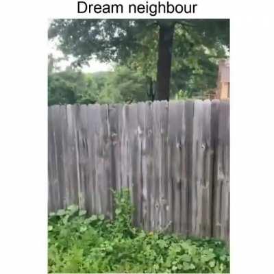 Playing Fetch Through A Fence