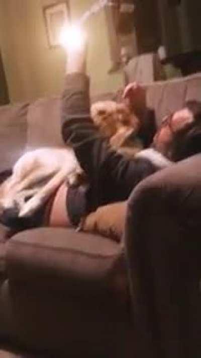 Sicko guy launches an atomic bomb on poor dog