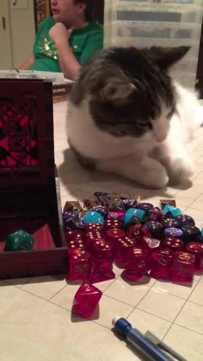 Roll a charisma check..... Nat 20