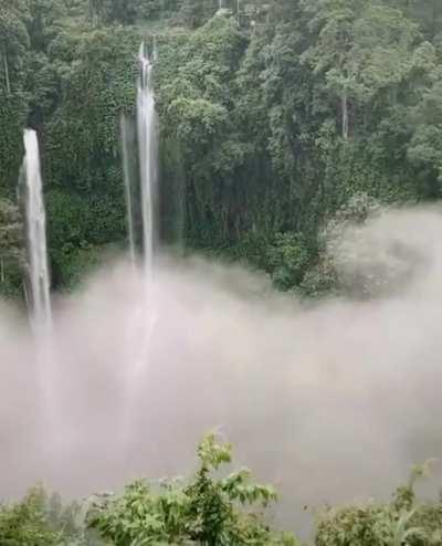🔥 Sekumpul Waterfalls, Bali Indonesia