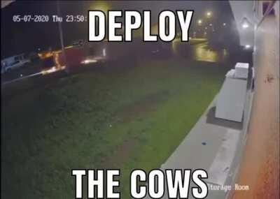 I’m 15 and this is yeet