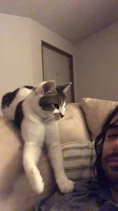 Wonton woke me up just so she could do this