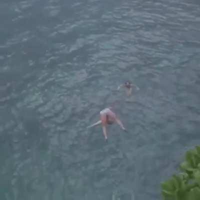 HMC while I do a perfect swan dive.