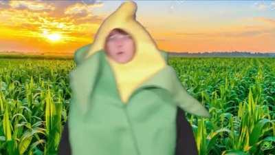 Cursed_corn