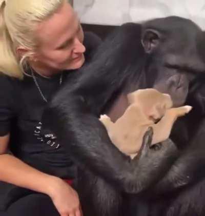 Немного милоты