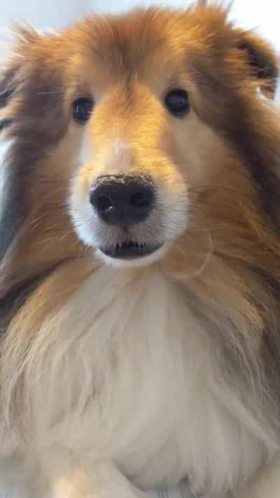 Buster birthday buster buster