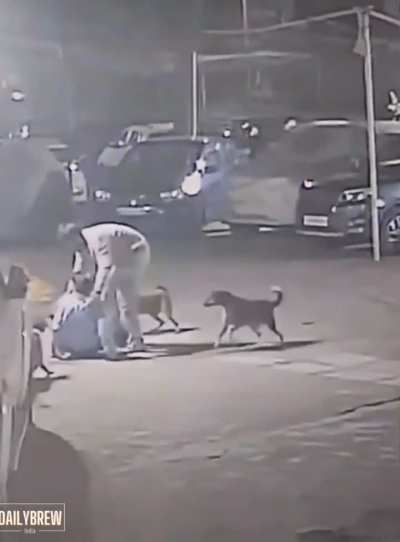 A ‘’dog lover’’ who was likely feeding the dogs nearby jumped and started beating the watchman repeatedly over the use of stick.