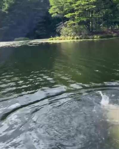 she did it! she went skinny dipping!