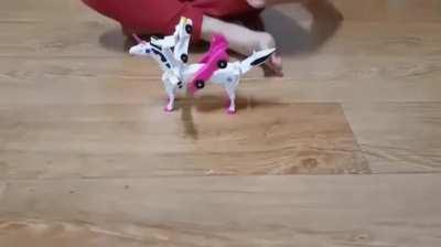 Not your everyday car crash