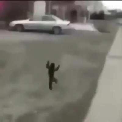 monke on da run what he do