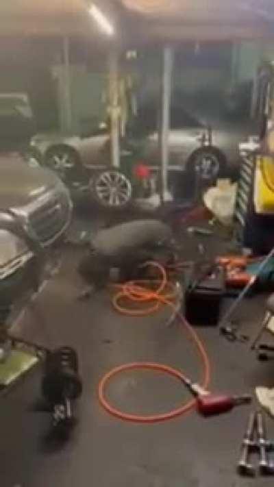 Seems like a worthy contender for these awards