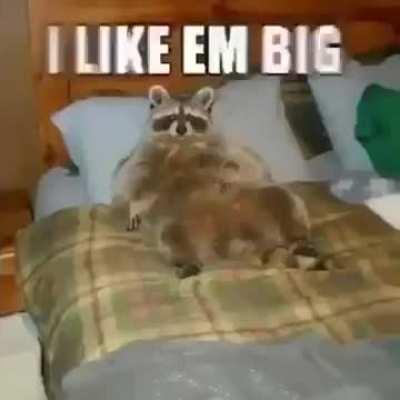 Here comes the big chonky boy.