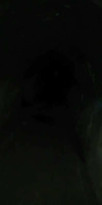 POV: you are the last freshly cooked radioactive pizza roll