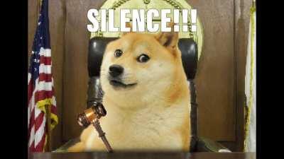 Alvin and the chipmunks in trial for war crimes against Yemen 🤬🤬🤬👺👺👺