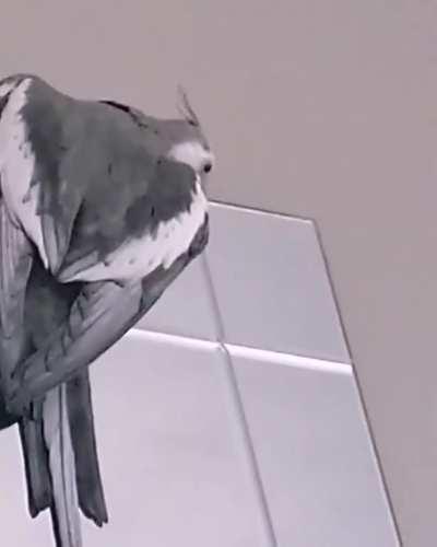 Comes with two fun modes! Gentle Narcissism & Pure RAAAAAAAAAAGGGGGGGEEEE