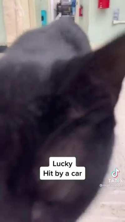 Peppermint Patty deserves better!