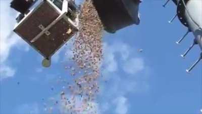 A squirrel has been hoarding acorns inside this antenna
