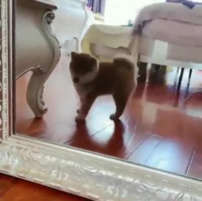 I'm Sexy and I Know It