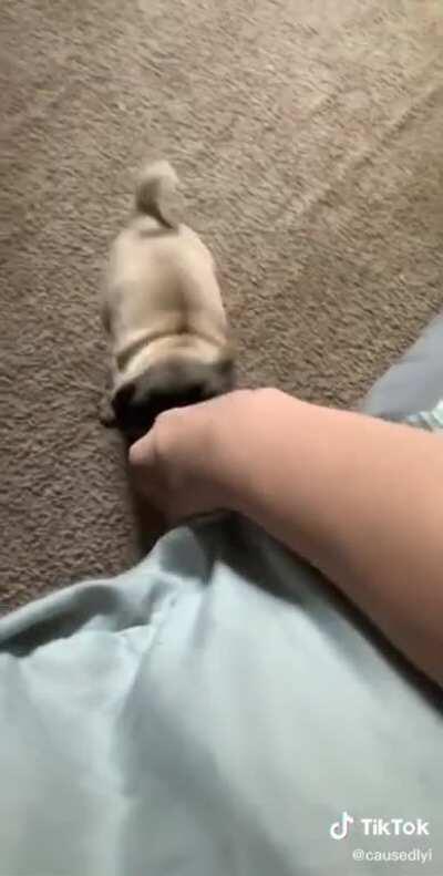 Cute lil' boi, huh...