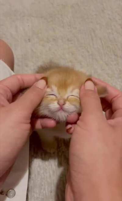 Small, red and ...so cute.