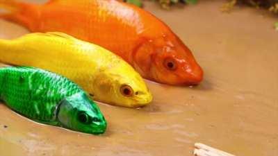 The story, the acting, everything, it's beautiful!