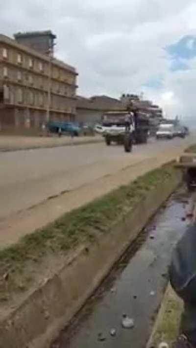 He'd do just fine on a log in a river. Also less cars.