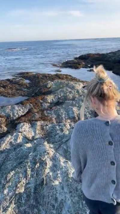 Who doesn’t love the ocean, the warm sun & some nervous titties! [GIF]