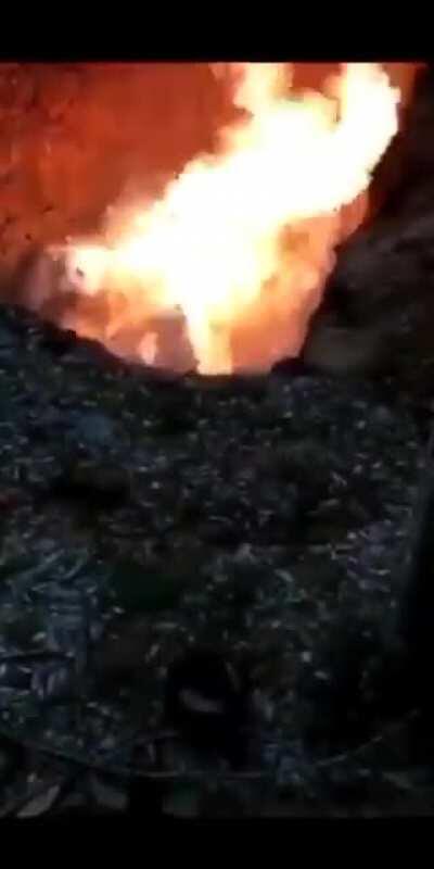 This was sent in our group chat