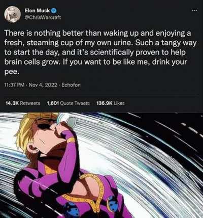 「ELON EXPERIENCE」