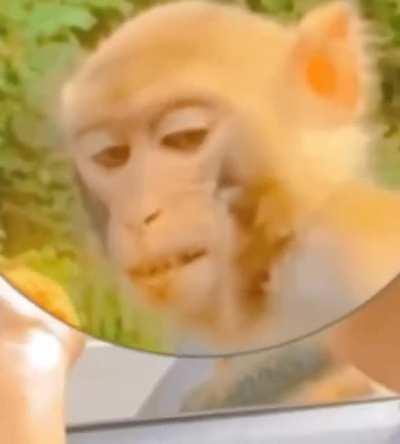 when it's saturday and friend offers you chicken