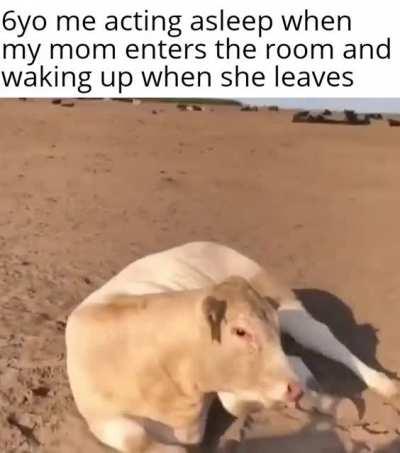 retrieve DS from under pillow