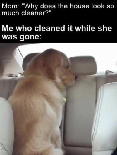 I'm glad she noticed