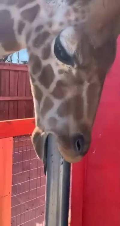 You can't even reach so don’t even try