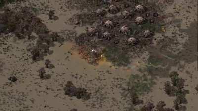 Your best nightmare!