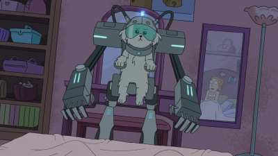 Where are my testicles?