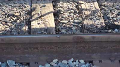 These guys might be tougher than we think...