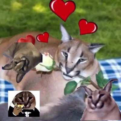 Happy Valentines Day!