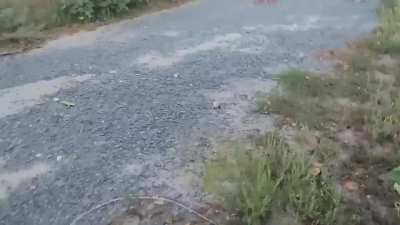 Ukrainian SOF soldiers approached a building occupied by Russian soldiers and were nearly shot. Due to their quick reaction they were able to get to a safer position. September 2024.